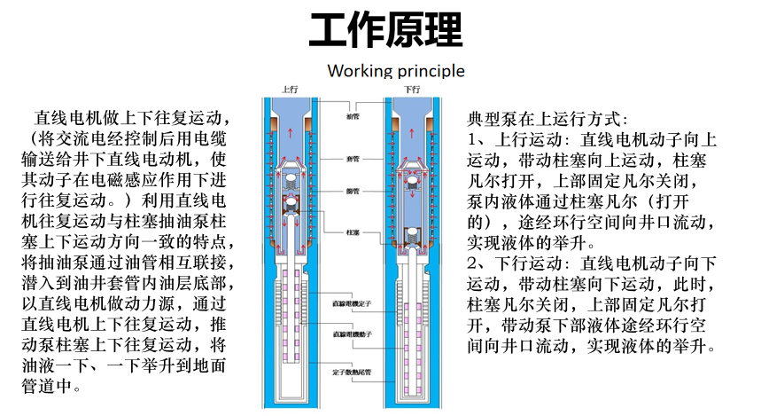 1770425855111048.png 直线1_副本.png